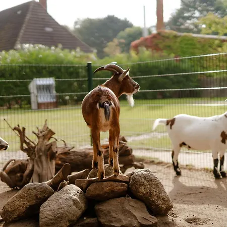 Am Reitplatz